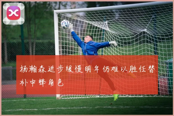 杨瀚森进步缓慢明年仍难以胜任替补中锋角色