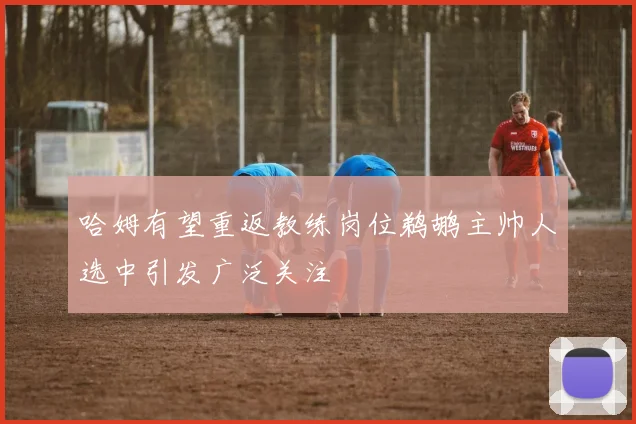 哈姆有望重返教练岗位鹈鹕主帅人选中引发广泛关注