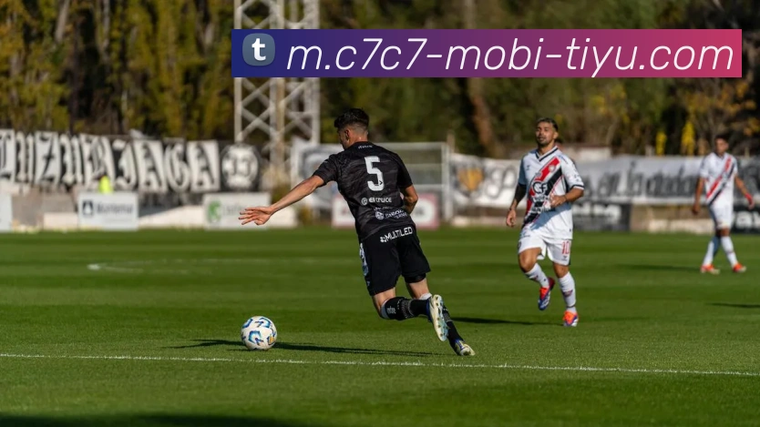 C7C7娱乐平台生态图